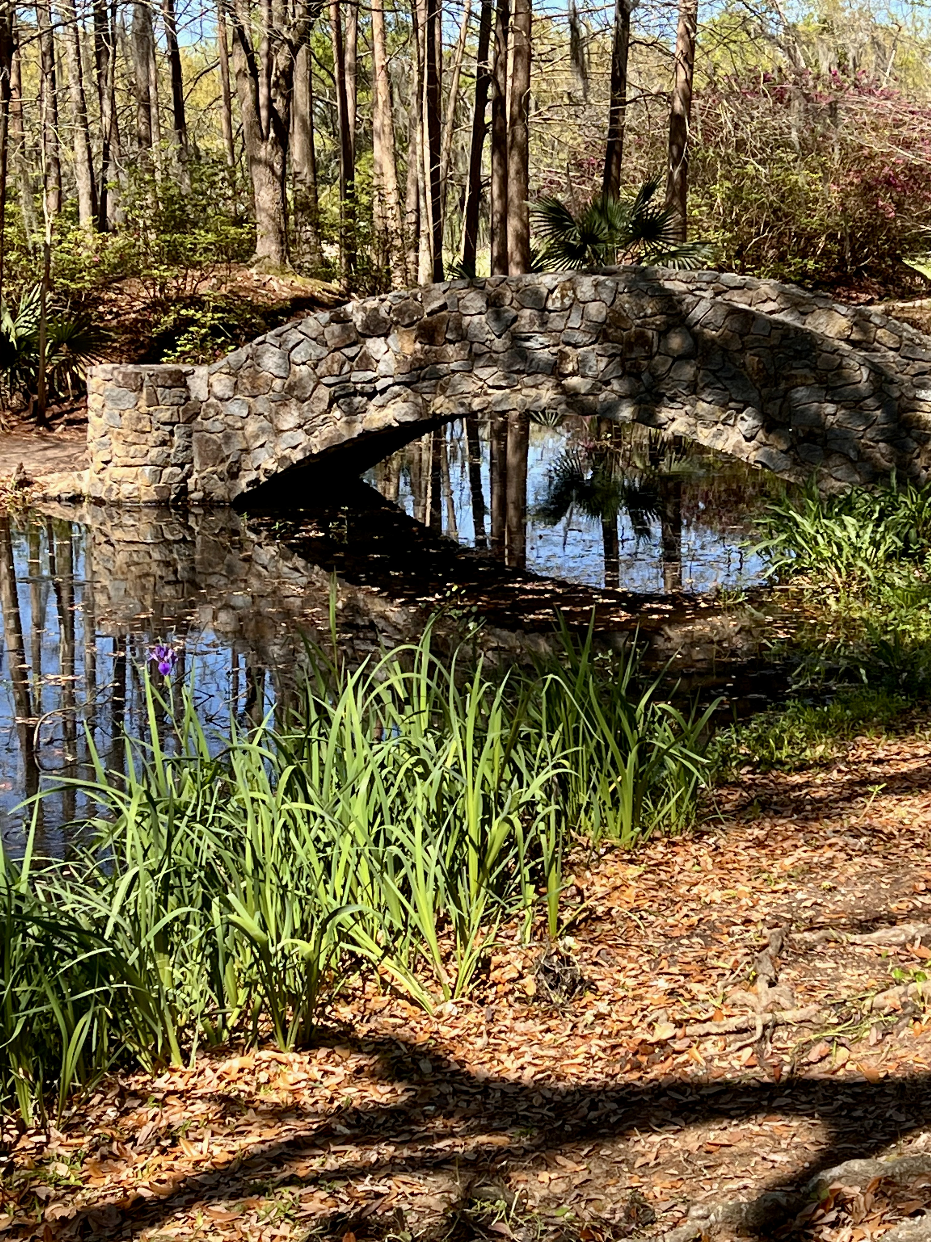 Camping and Traveling